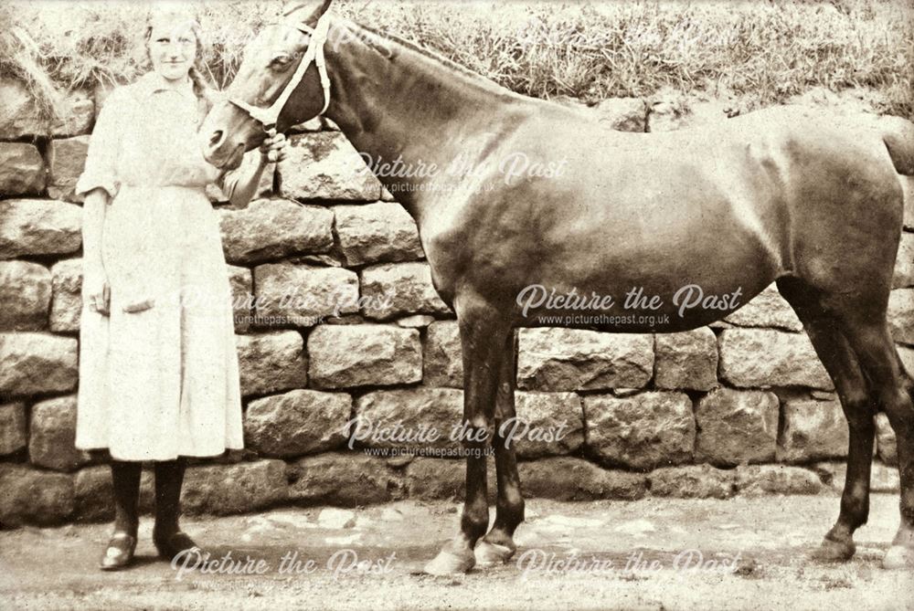 Evelyn Waterhouse with a Horse, Stables, Whaley Bridge, c 1912