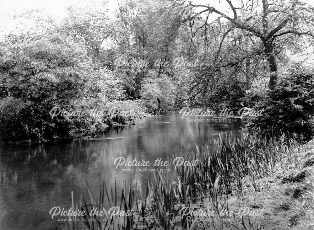 The River Wye between Ashford in the Water and Bakewell