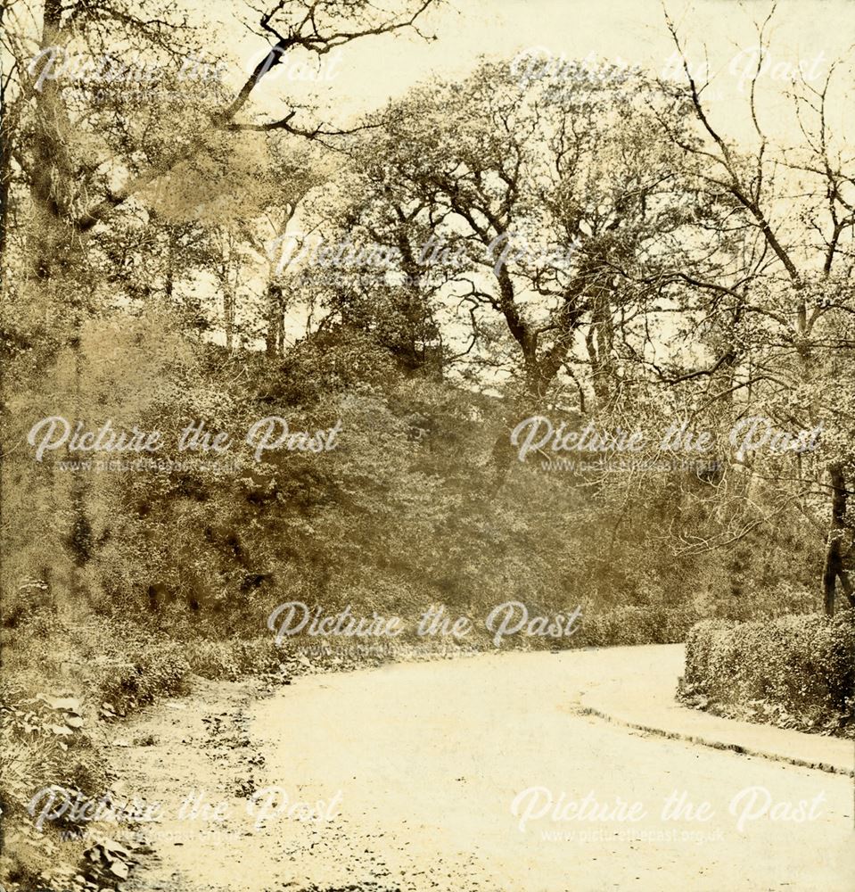 New Mills (Old) Road, Hayfield, c 1910