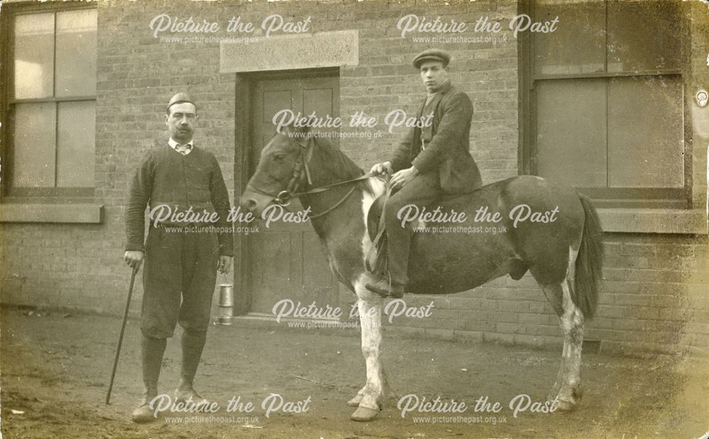 Pit pony and groom, Alfreton Hall