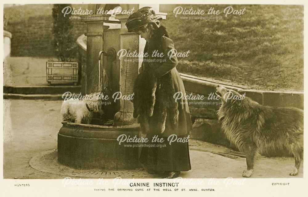 Lady with dogs, St Anne's Well, Buxton