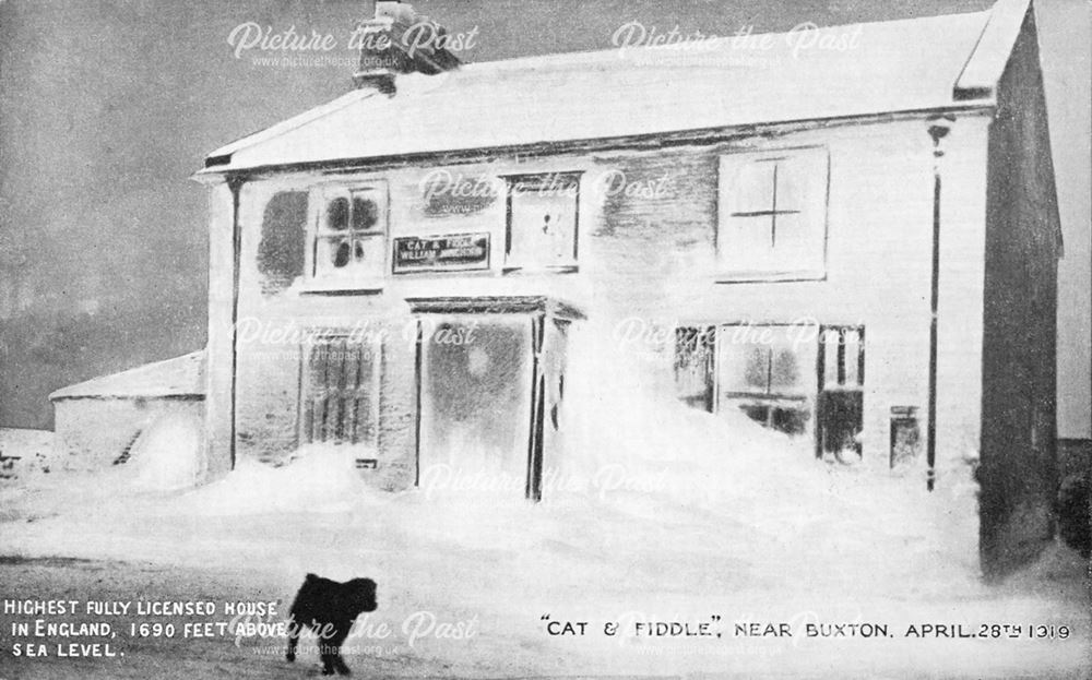 A dog in the (un-seasonal) snow outside The Cat and Fiddle Inn, near Buxton