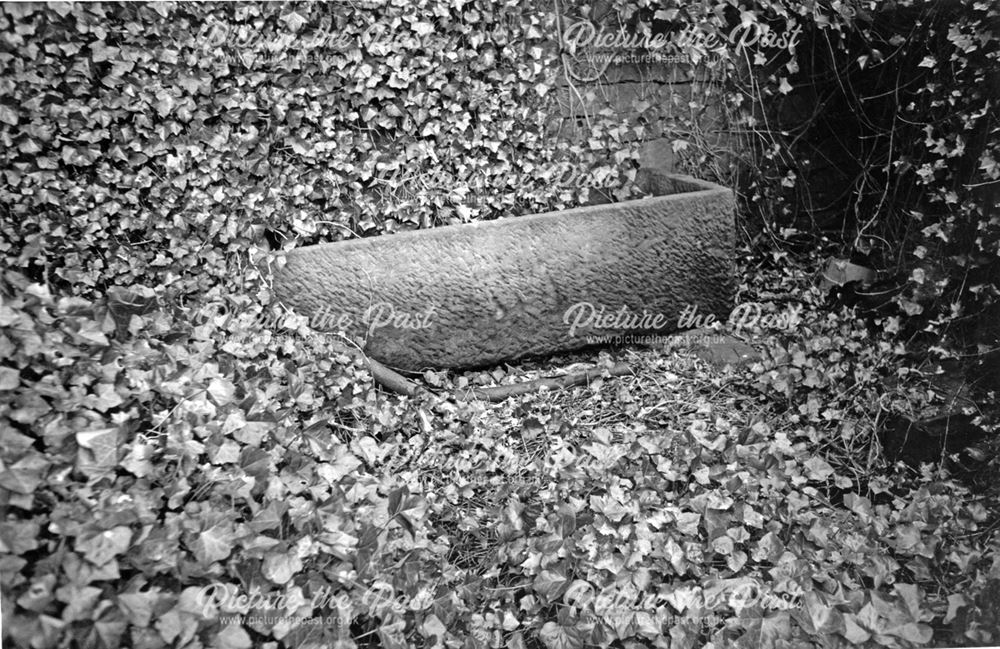 Old stone trough in ruins of Old Smithy