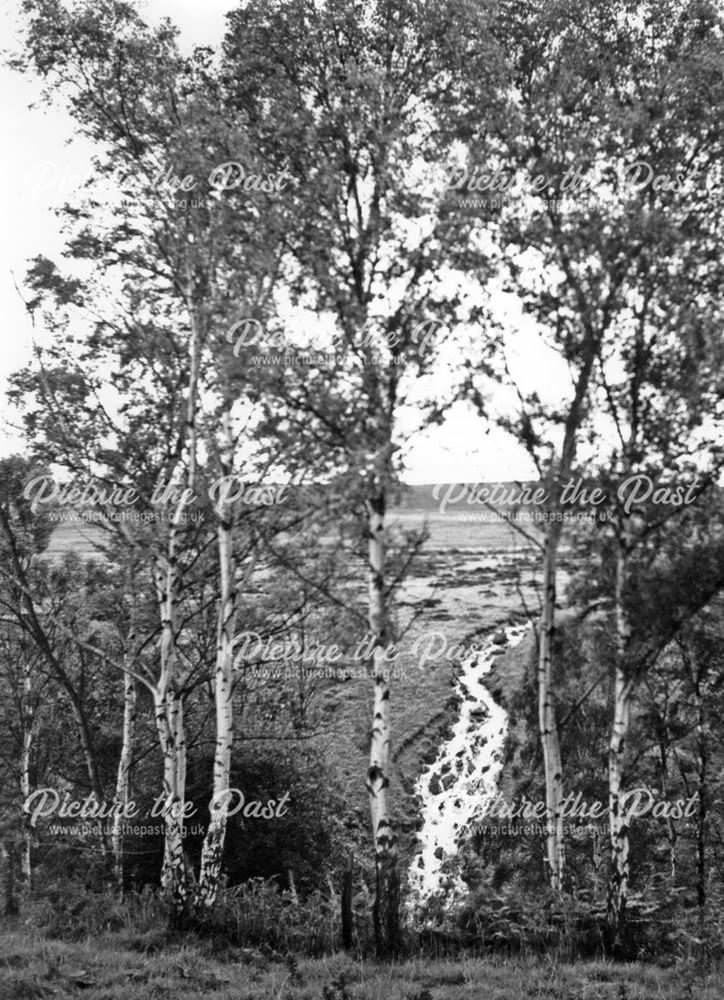 Robins Clough, near Flash, Staffordshire, undated