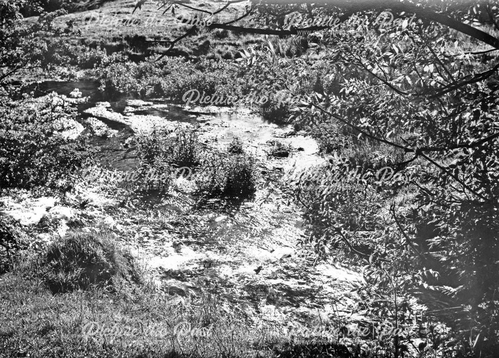 Spring near Pilsbury - tributary of River Dove