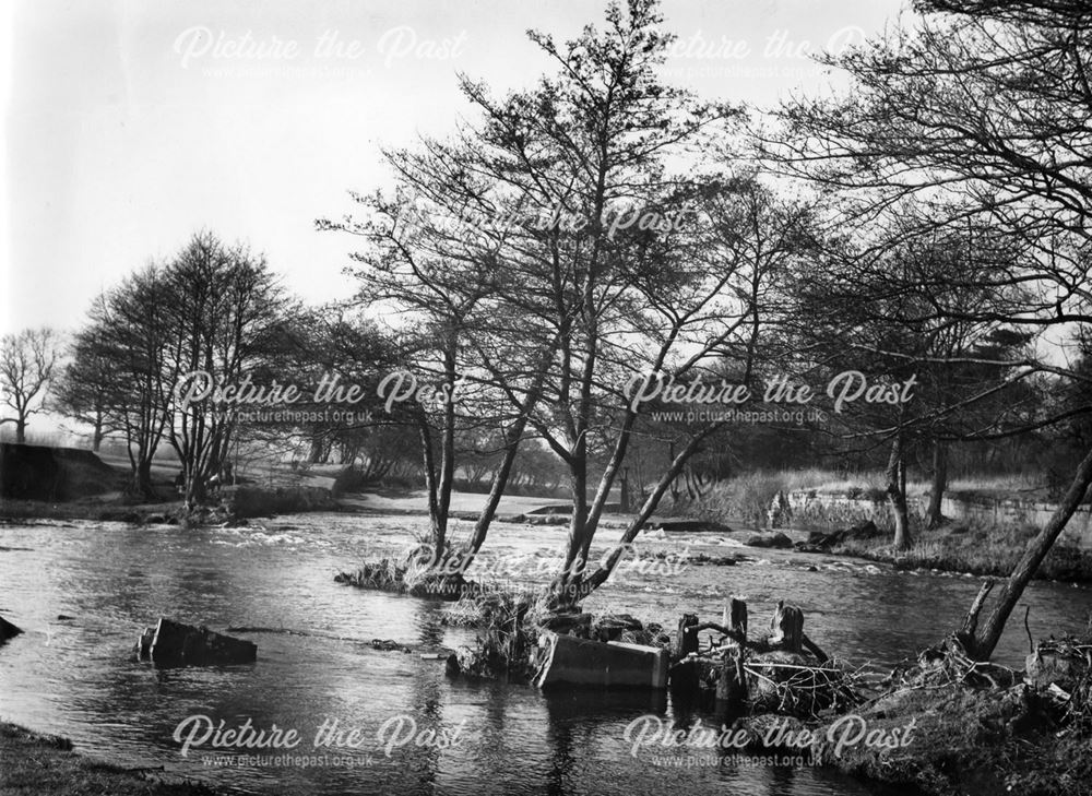 Trees by the River Derwent near the Mill at Little Eaton, Peckwash