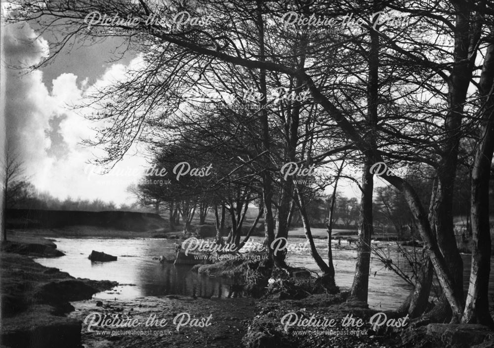 Trees by the River Derwent near the Mill at Little Eaton, Peckwash