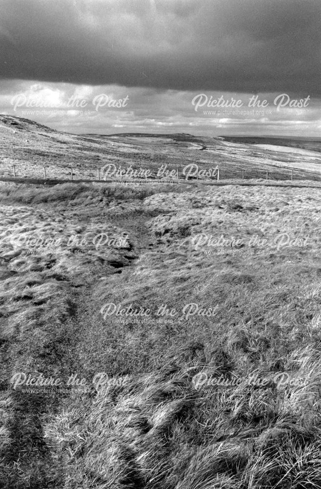 Goyts Moss from Axe Edge