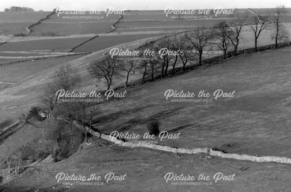 Fields above Hartington