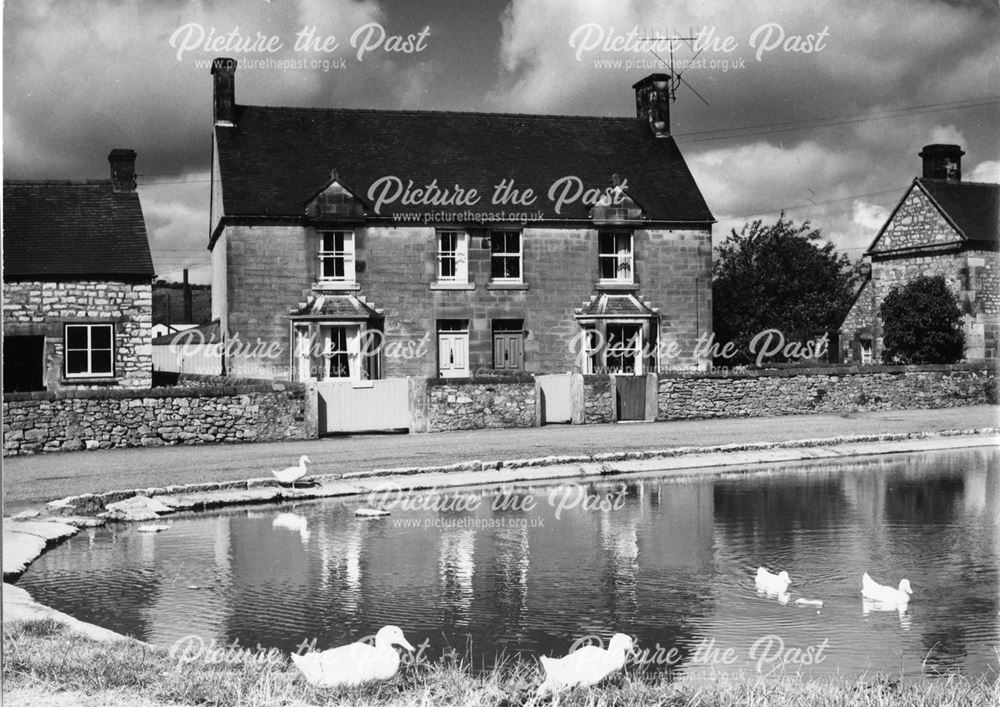 The Village Duck Pond, Dig Street, Hartington