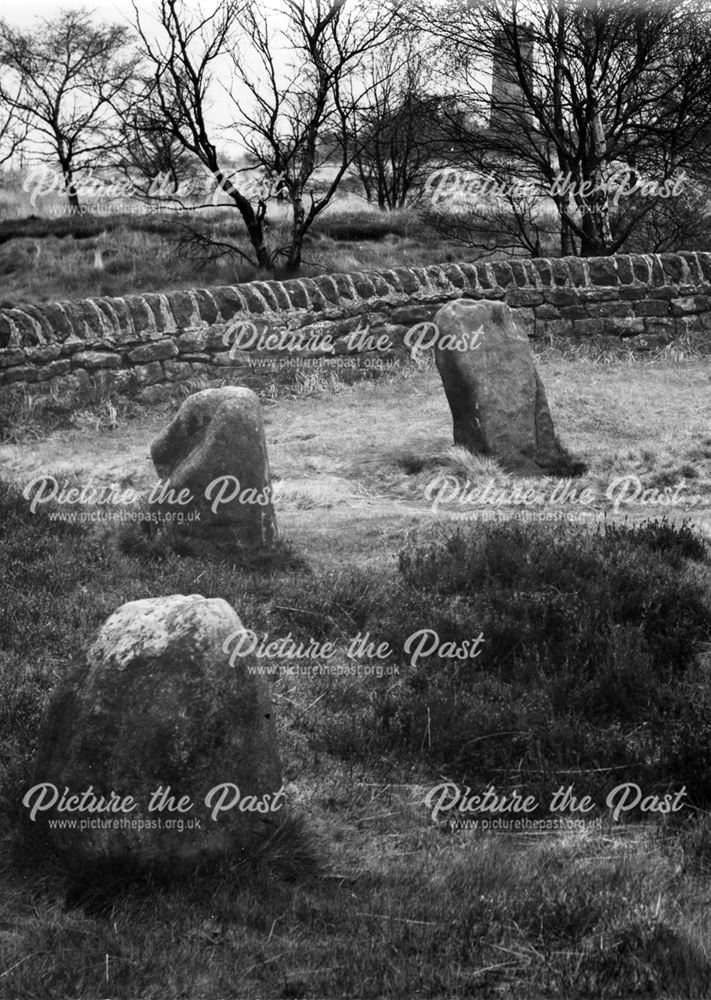 The nine ladies stone circle and tower in the background