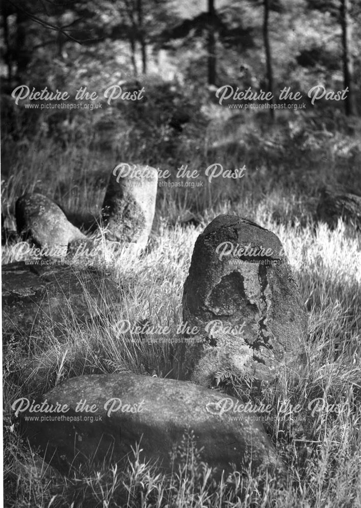 Doll Tor ( a six stone standing circle) near Birchover