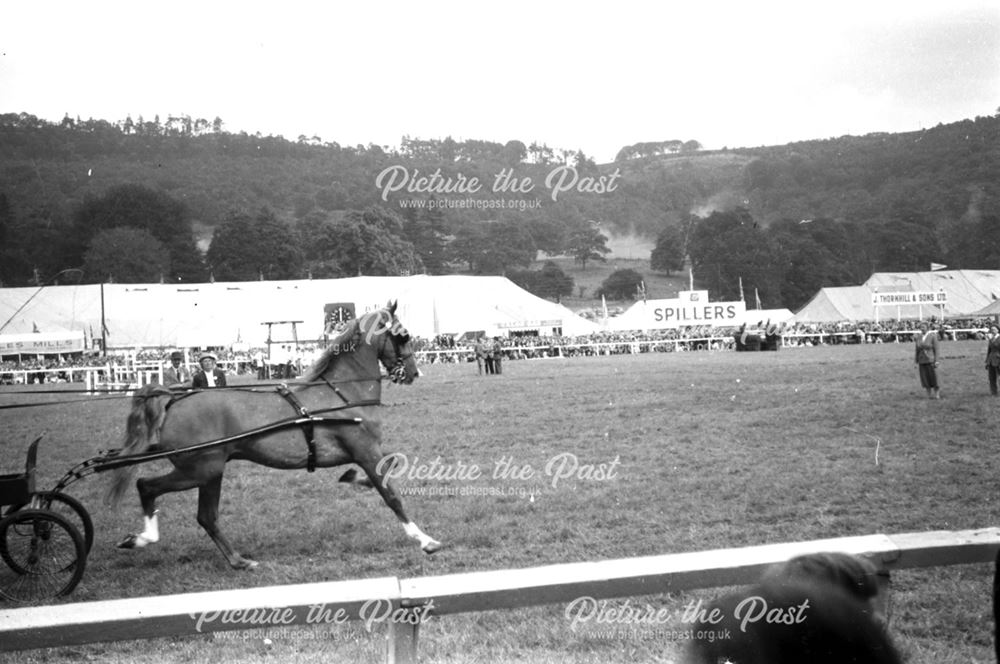 Bakewell Show 1958