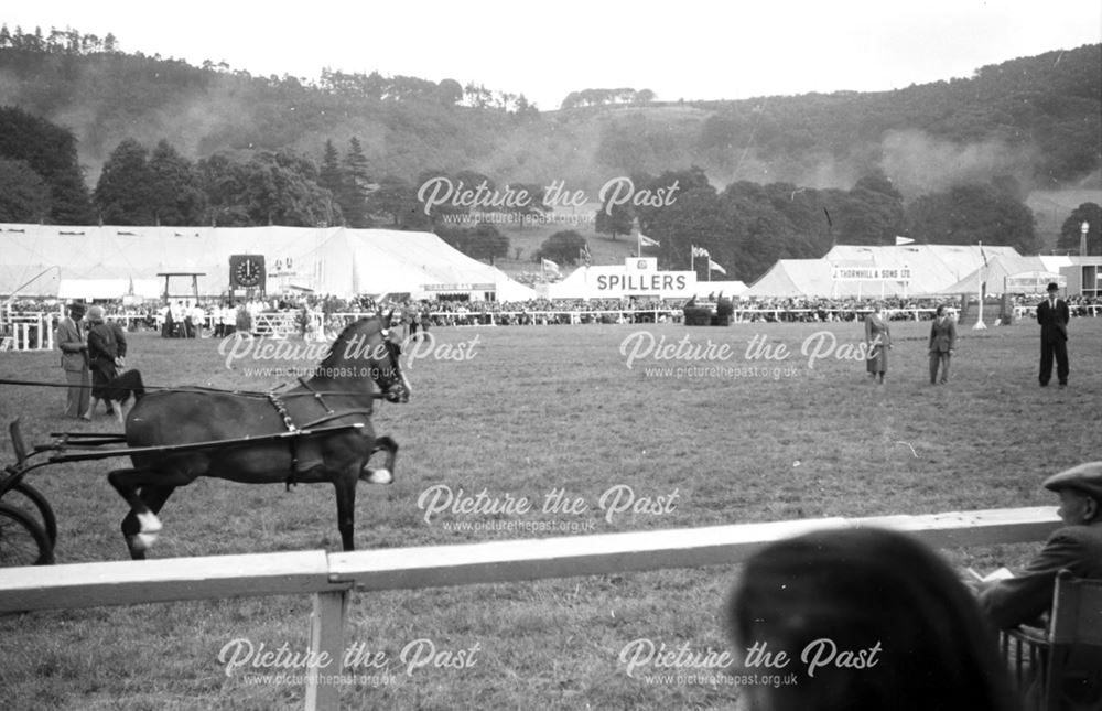 Bakewell Show 1958