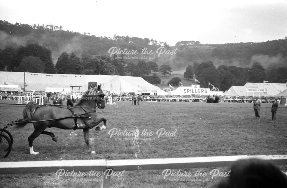 Bakewell Show 1958