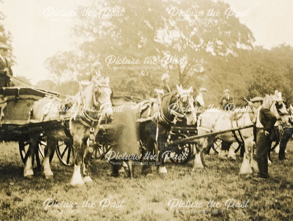 Ashover Show 1925 - The Heavy Horses