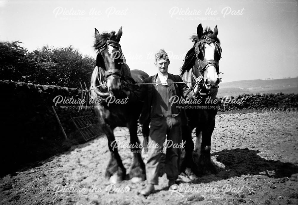 Farm lad with plough team, Beeston Tor, 1940s