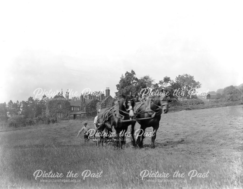 Cutting the hay, East Lodge, Rowsley, early 20th century
