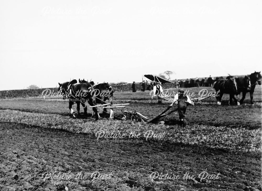 Ploughing match, Rowsley, early 20th century