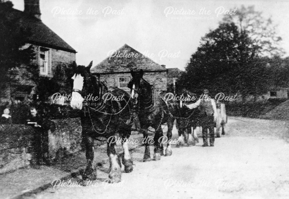 Horses and wagon, Rowsley, early 20th century
