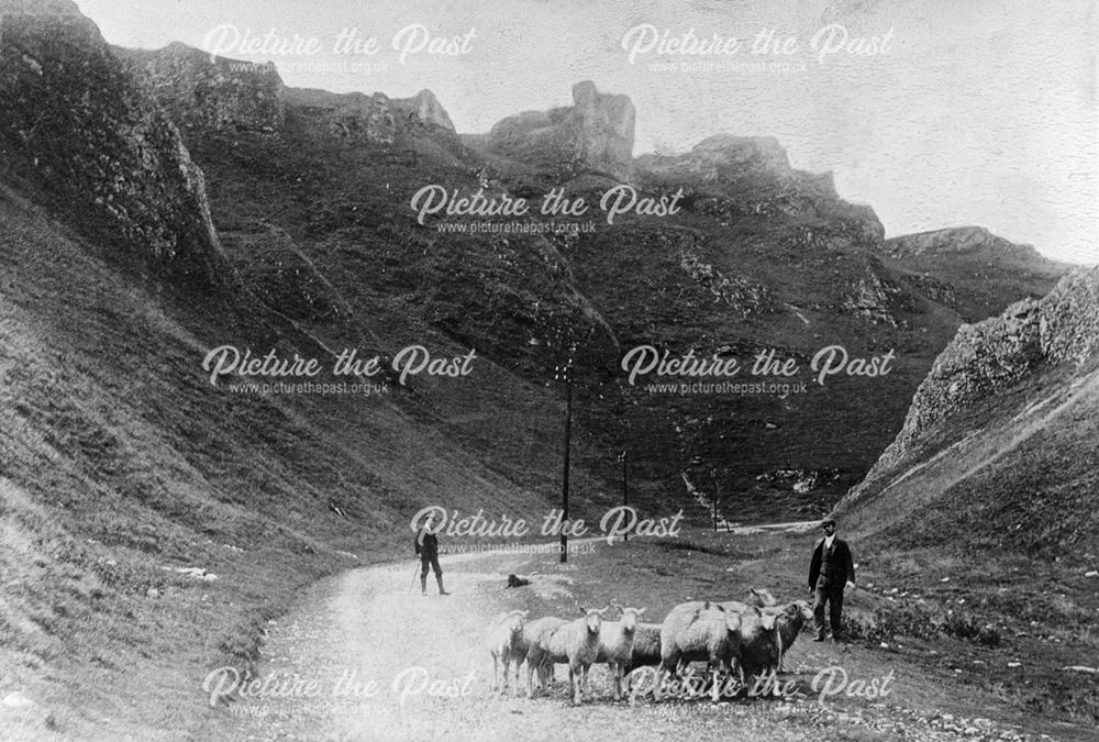 Men with sheep, The Winnats, Castleton, 1909