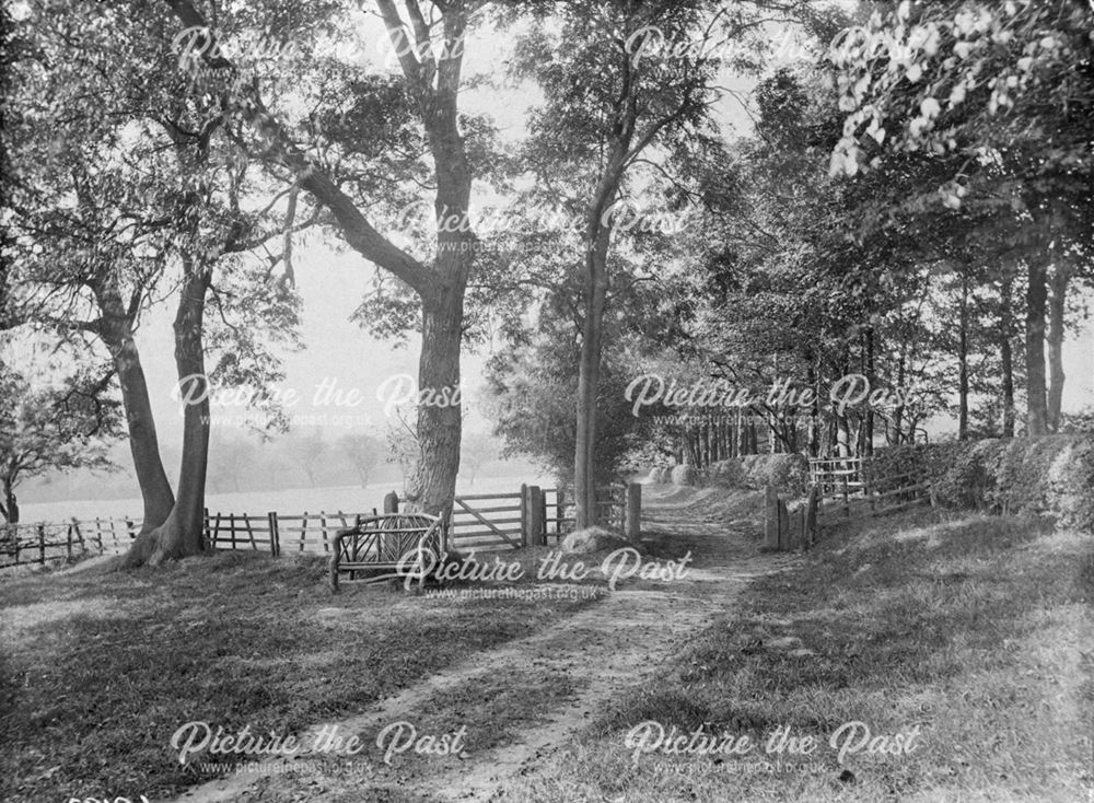 Green Lane, Hope, mid 20th century