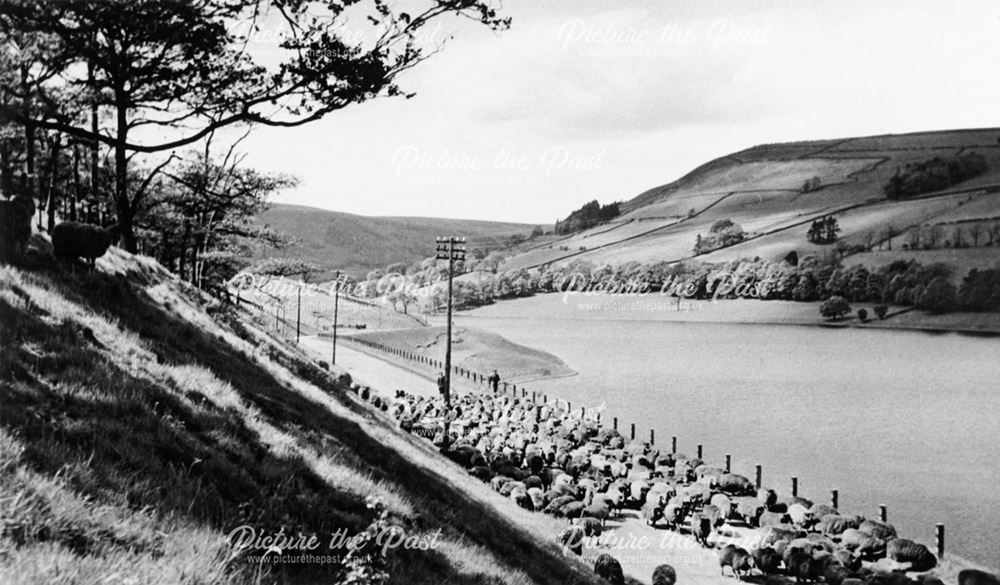 General view of Ladybower Reservoir (northern end), c 1950s