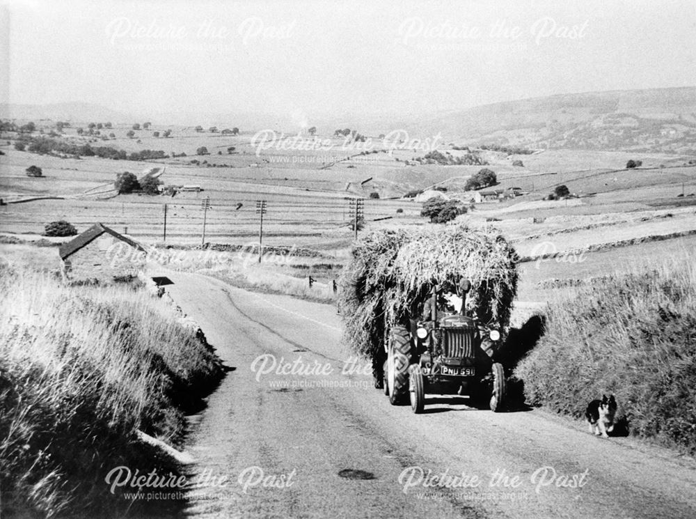 Farming at Bradwell, c 1960s