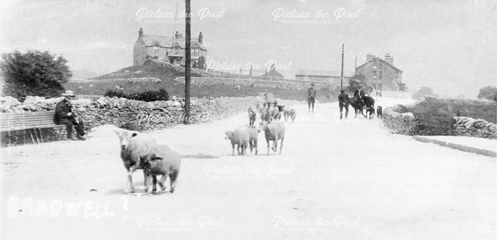 New Bath Hotel and Eden Tree, Bradwell, c 1900s