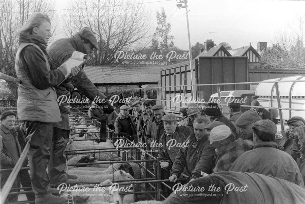 Sheep auction, Old Bakewell Livestock Market, Bakewell, 1996