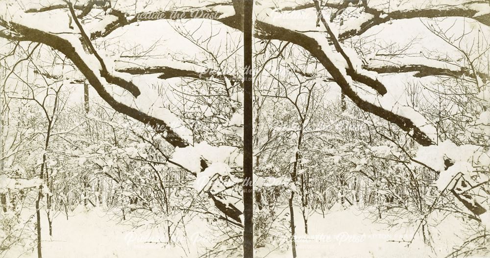 Tapton Park in the snow, Tapton, Chesterfield, c 1900