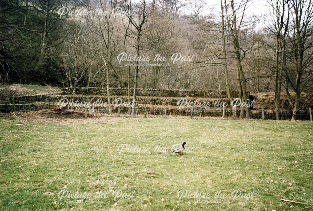 Water engineering above Bank Vale Mill, Hayfield, c 1980s