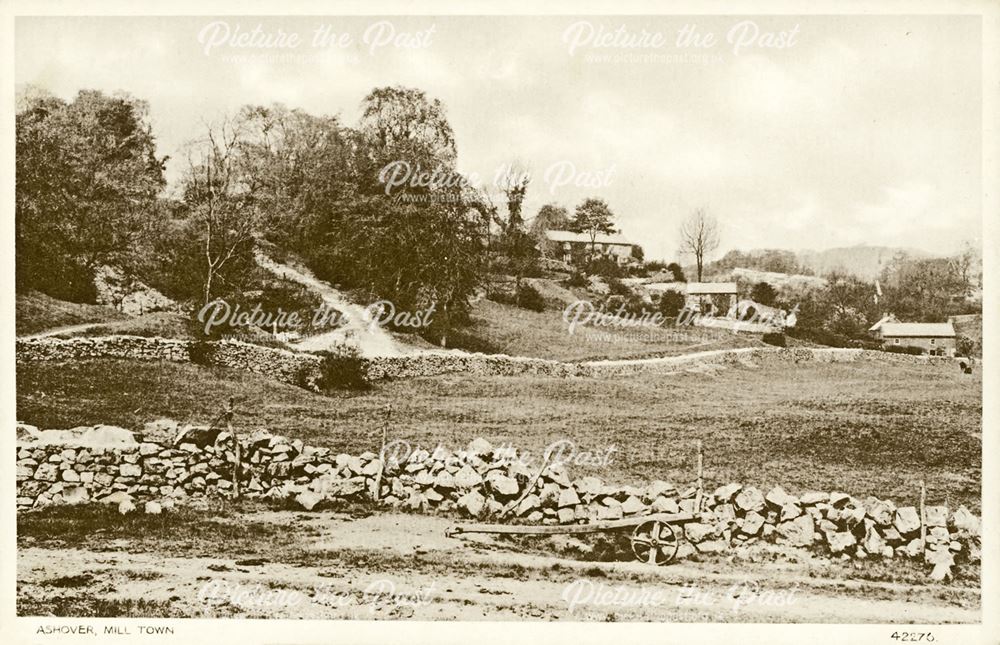 Woodland Path, Milltown, Ashover, c 1900