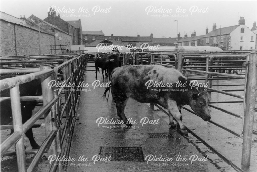 Cattle market pens, Old Cattle Market, Granby Road, Bakewell, 1996