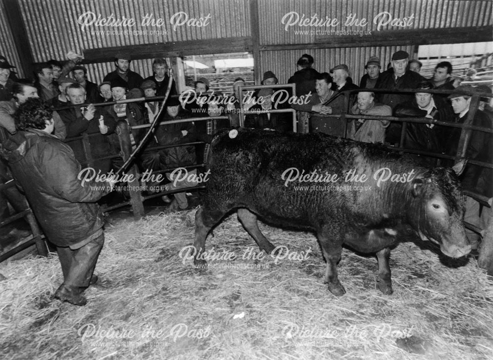 Cattle auction indoors, Old Cattle Market, Granby Road, Bakewell, 1996