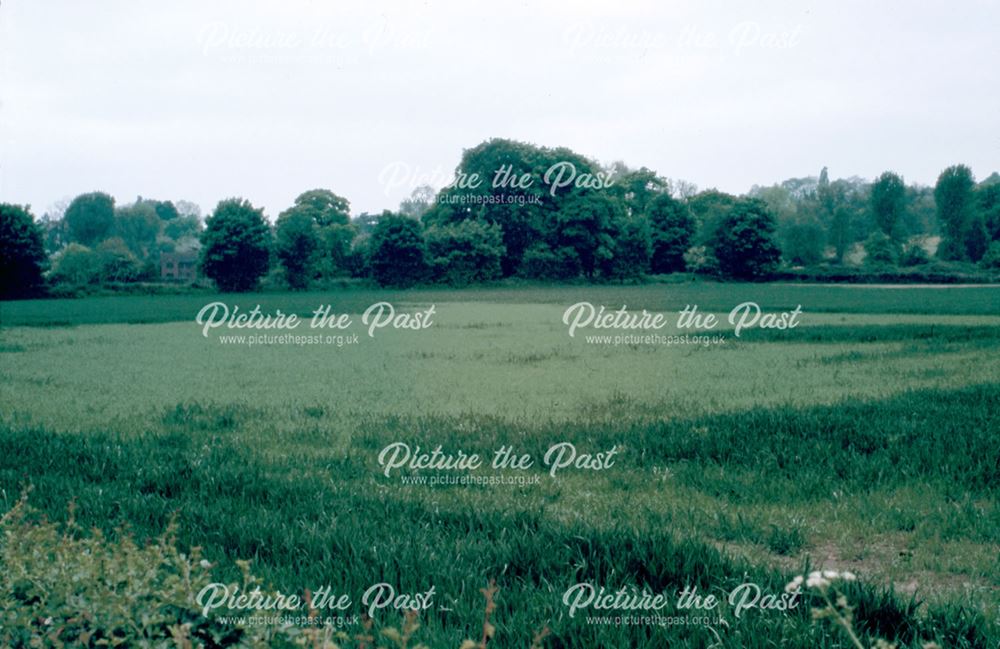 Cropmarks on Milford Road, Duffied, 1990s