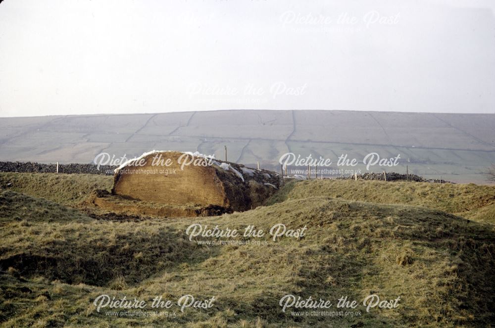 Silage on worked over limestone area, near Eldon Hill, Peak Forest, 1972