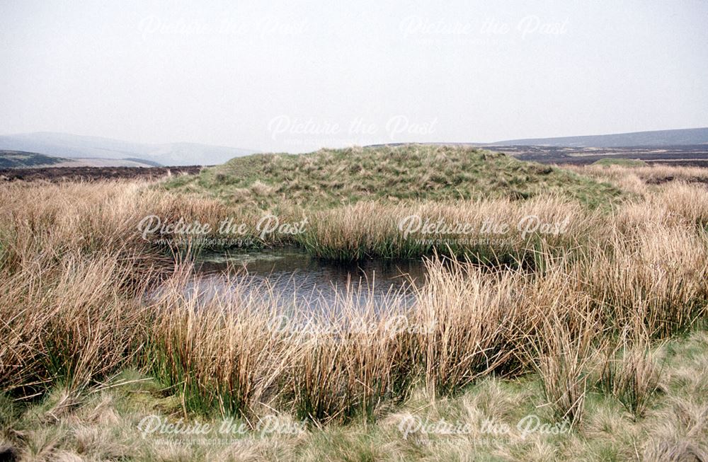 Pond, Goyt Valley, c 1980s