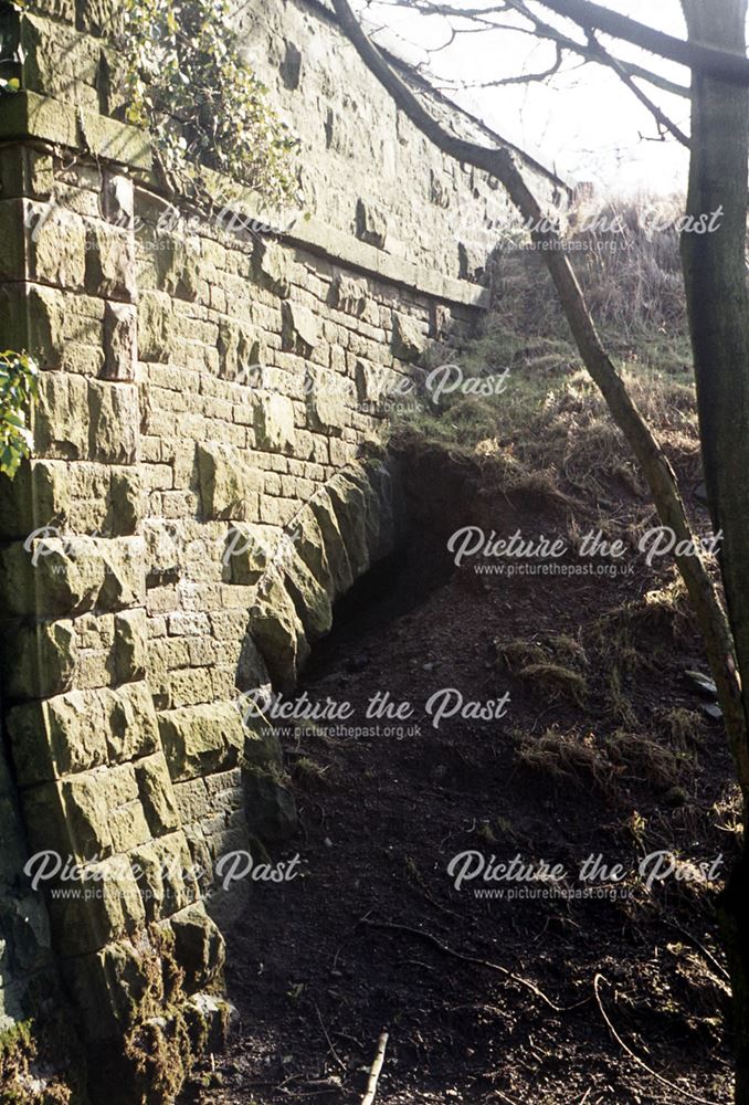 Bunsell Rise and Engine House Site and Water Supply, CHPR, Goyt Valley, 1974