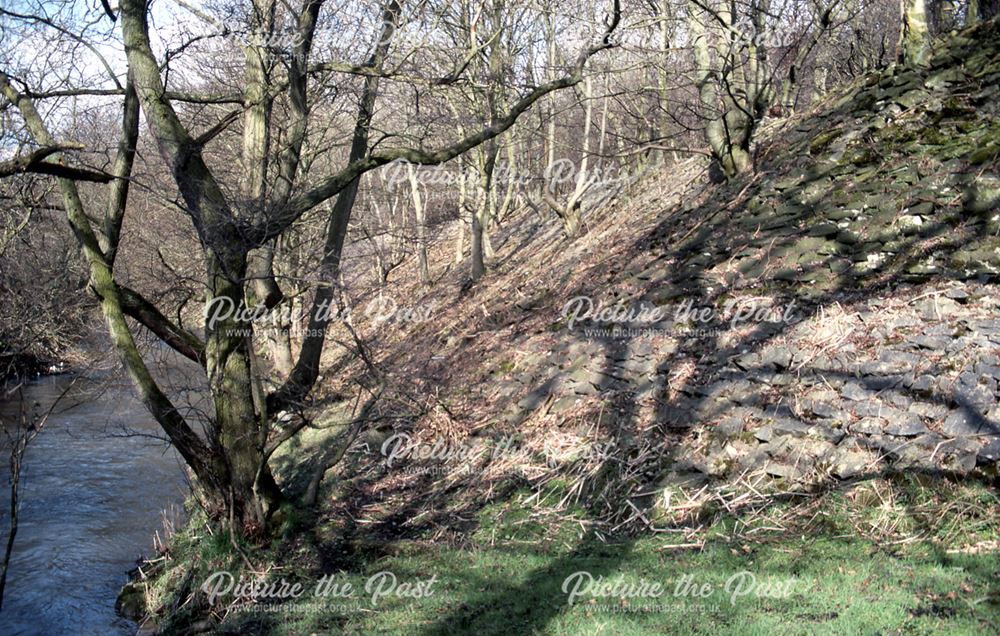 Embankment below railway and road, New Mills (?), 1989