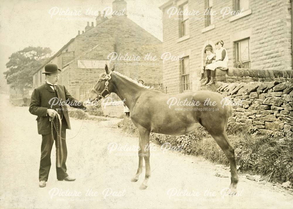 Tom Barnes Holding a Horse, Green Lane, Chinley, 1892