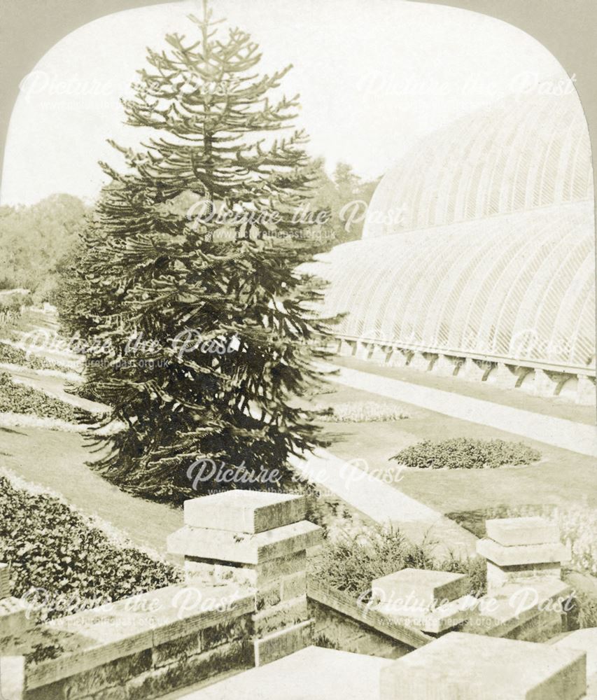 Conservatory, Chatsworth Gardens, Chatsworth, c 1868