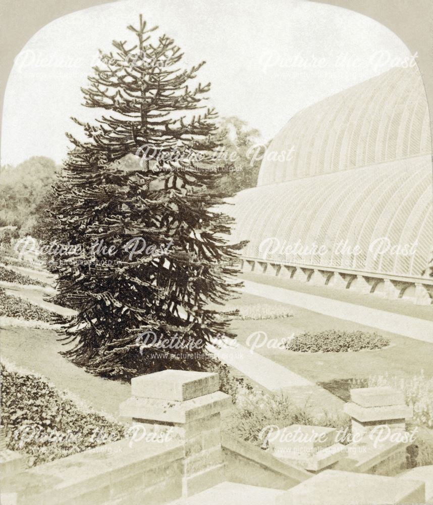 Conservatory, Chatsworth Gardens, Chatsworth, c 1868