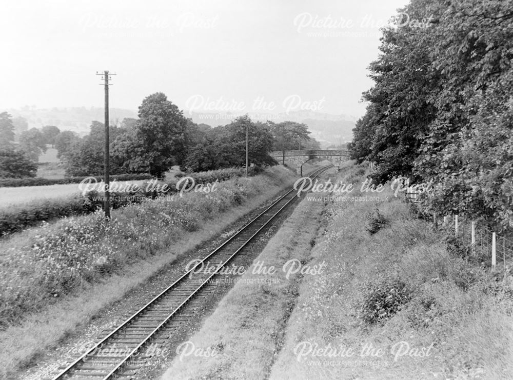 Railway Banking and Bridge, Derbyshire, c 1950