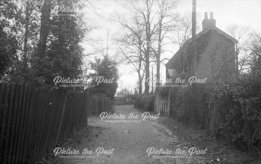 Unidentified lane with cottage, undated