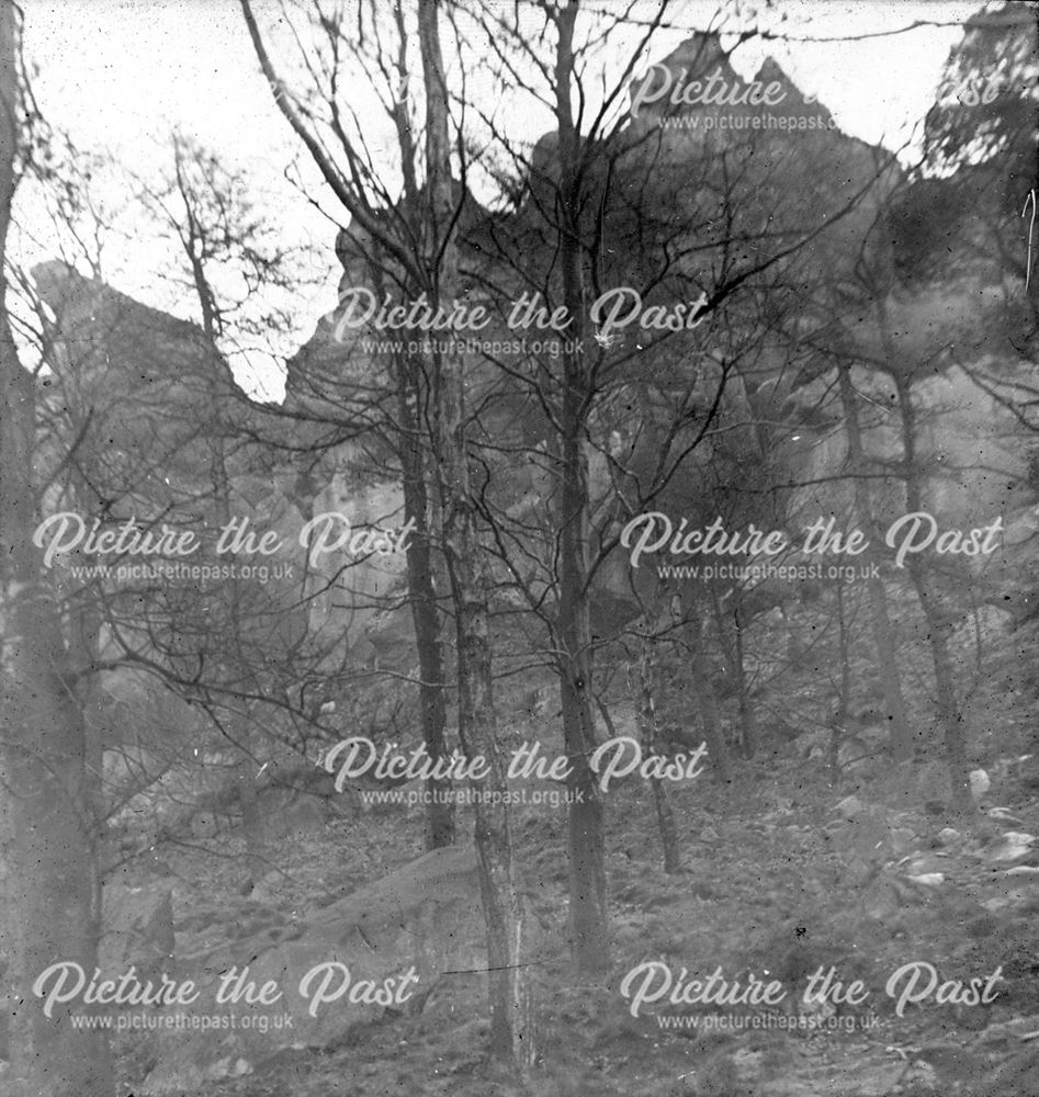 Crag seen through trees, c 1900