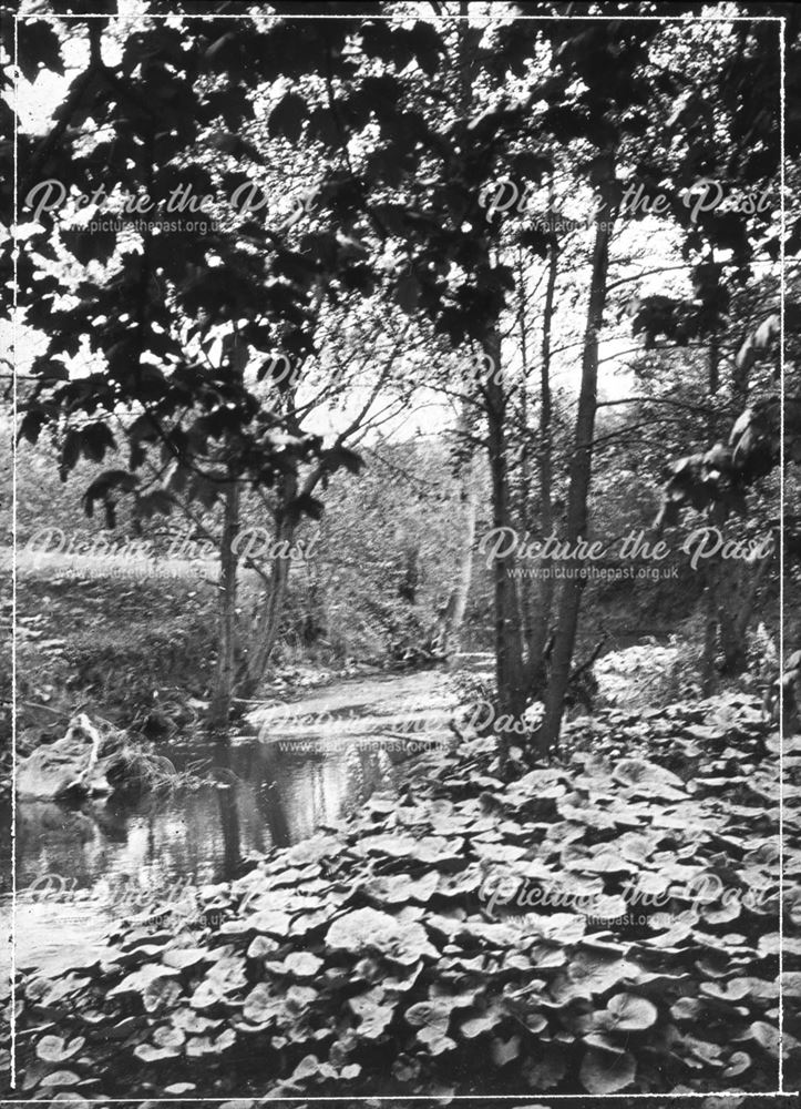 Lathkill Dale, c 1900