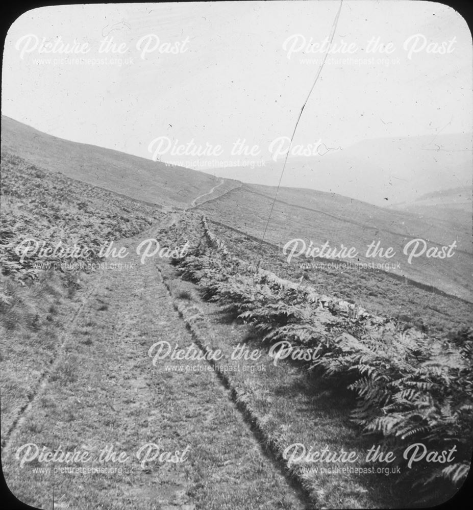 Moorland track, c 1900