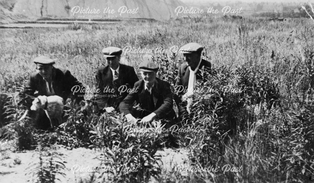 Group of men in a field with Jack Russell Dog
