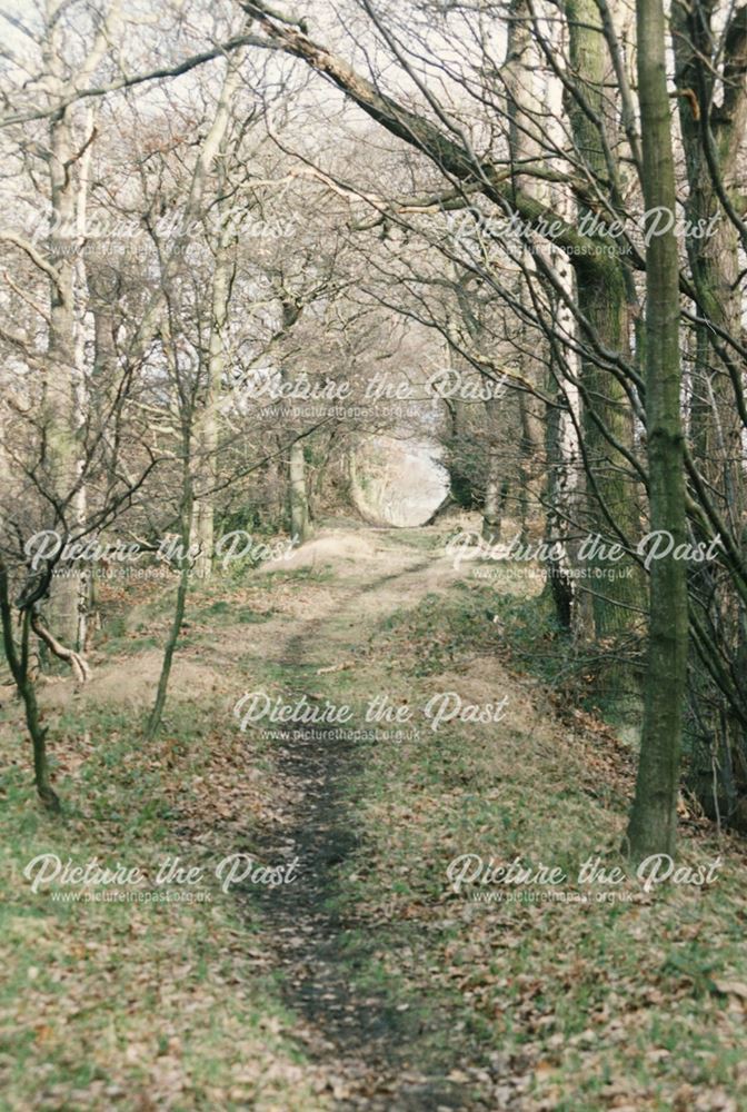 The remains of a tramway track to Plumbley